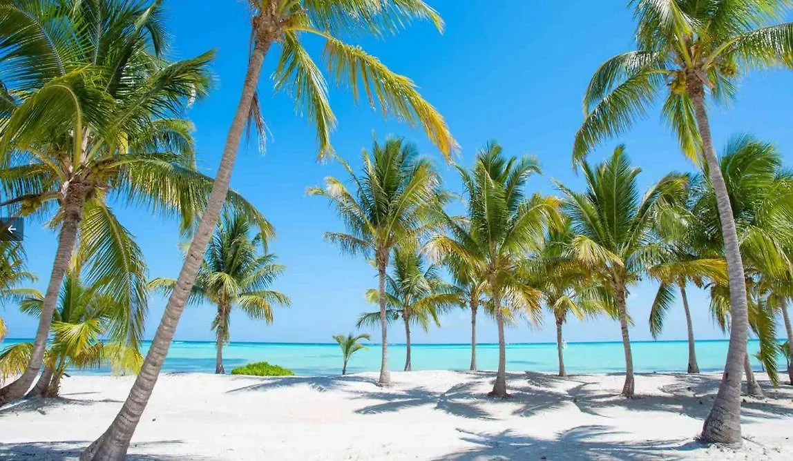 Coral Studios Deluxe Playa Los Corales location